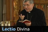 World Youth Day Central