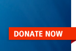 donate now