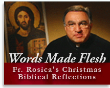 Words Made Flesh Advent Reflections
